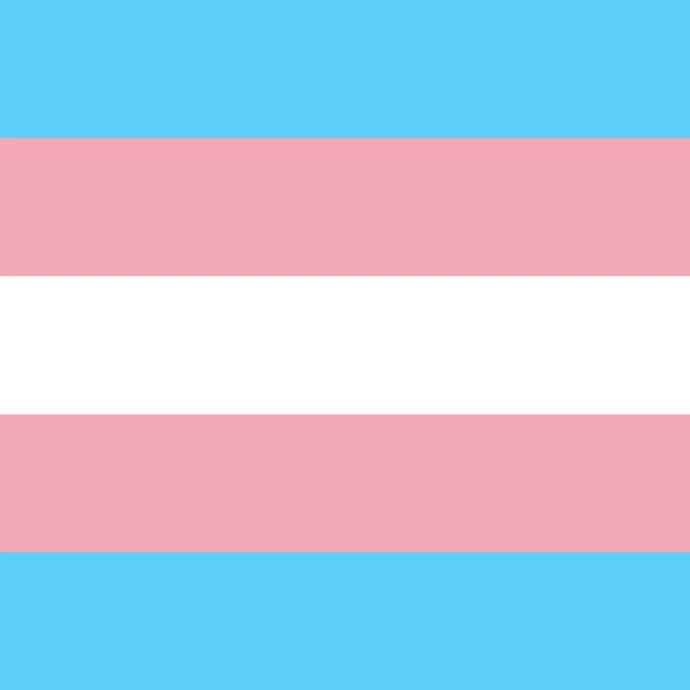 trans* flag